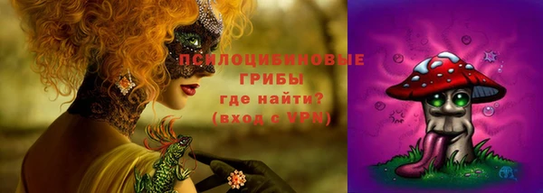спайс Бикин