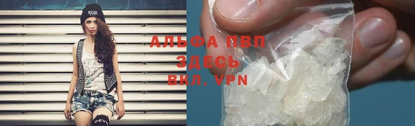 прущие грибы Алзамай