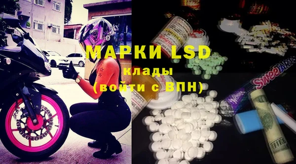 мяу мяу мука Алексеевка
