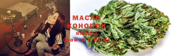 прущие грибы Алзамай